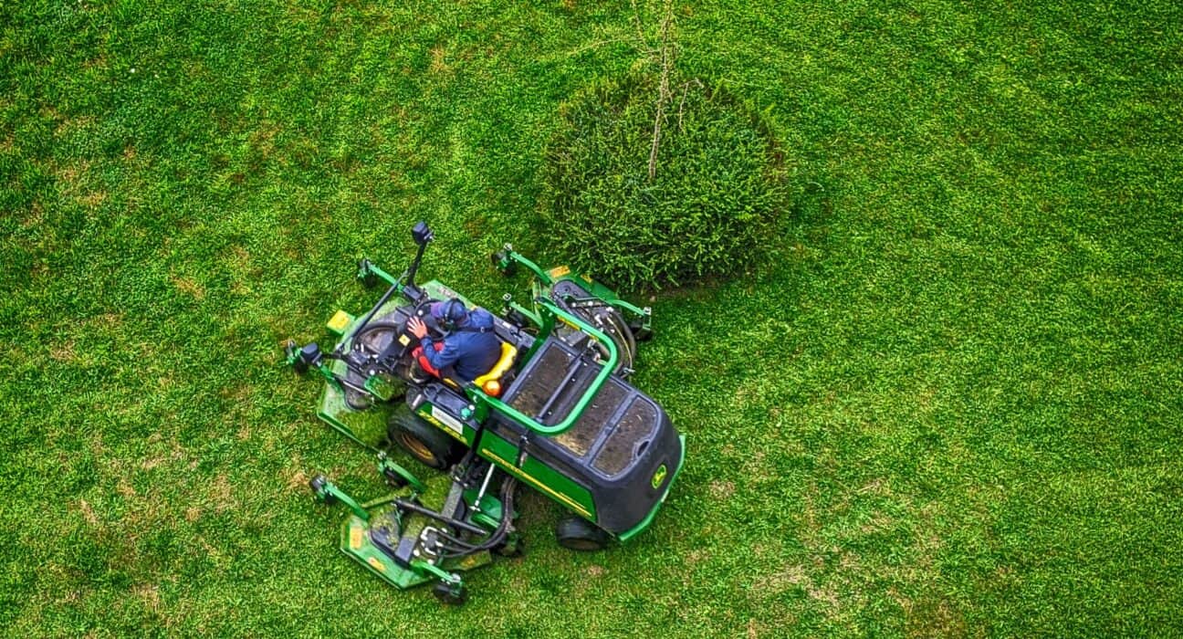 10 Essential Lawn Tools