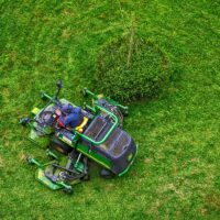 10 Essential Lawn Tools